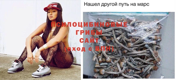 винт Куйбышев