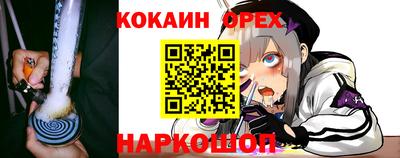 стафф Камышлов