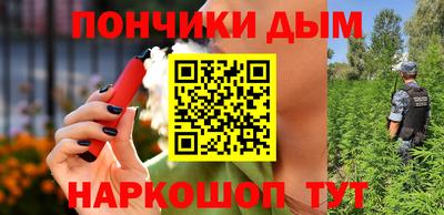 стафф Камышлов