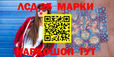 стафф Камышлов