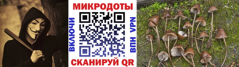 MEGA tor  наркошоп  Тавда  Псилоцибиновые грибы Magic Shrooms 