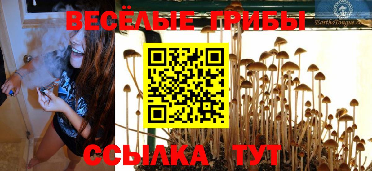 Псилоцибиновые грибы MAGIC MUSHROOMS  Псилоцибиновые грибы ЛСД  Вход с VPN  Тавда 
