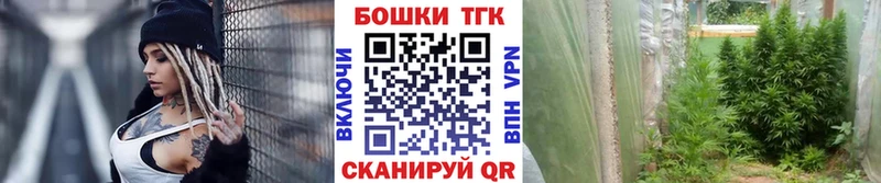 блэк спрут   купить  сайты  Тавда  Марихуана сатива 